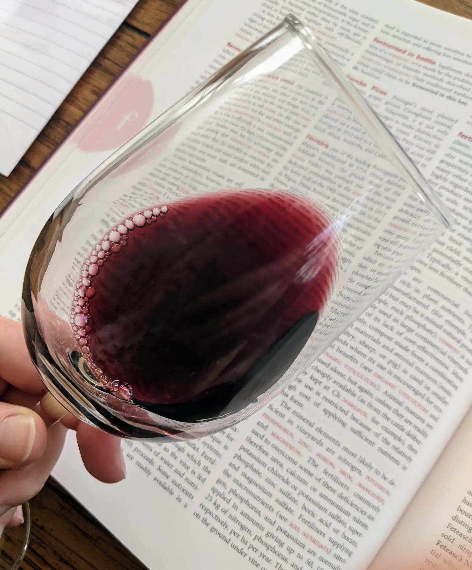 mourvedre-wine-guide-red wine in a glass