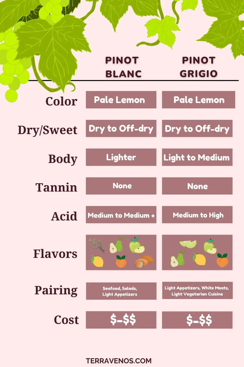 pinot grigio vs pinot blanc comparison chart infographic