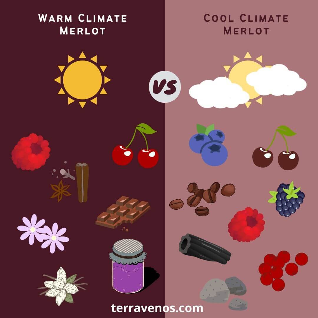 different-styles-of-merlot-wine-chart-warm-and-cool-climate - merlot wine regions