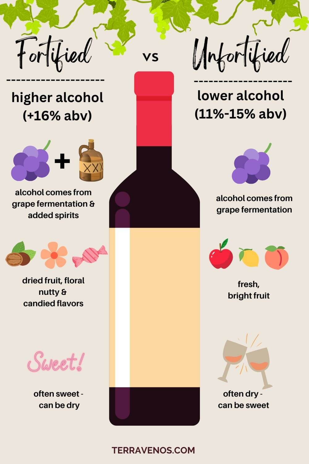 fortified vs nonfortified wine - infographic