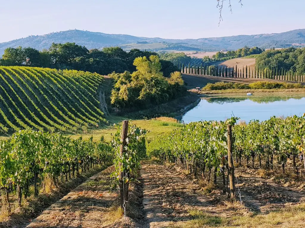 green grass field near river during daytime - what makes a wine a chianti