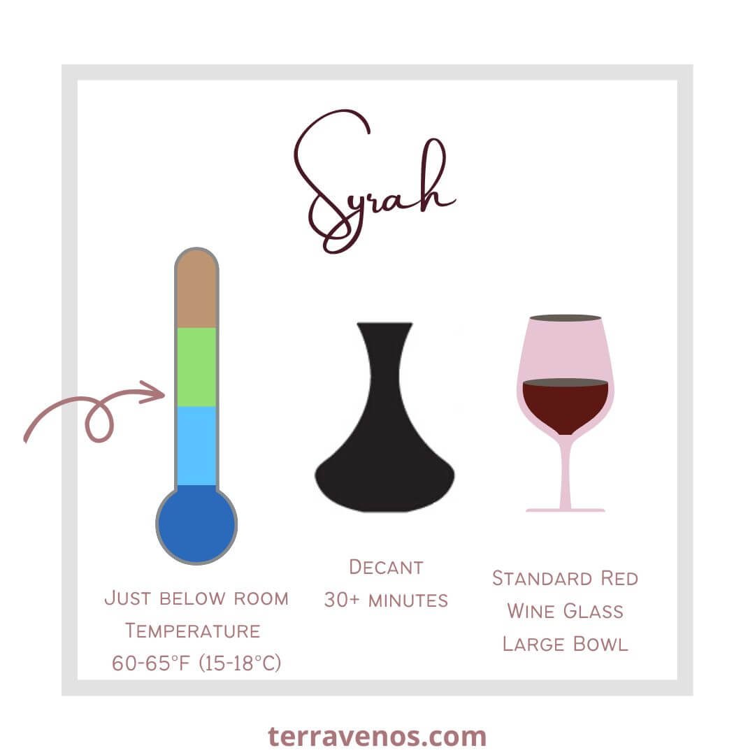 how to serve syrah wine - infographic - syrah wine guide