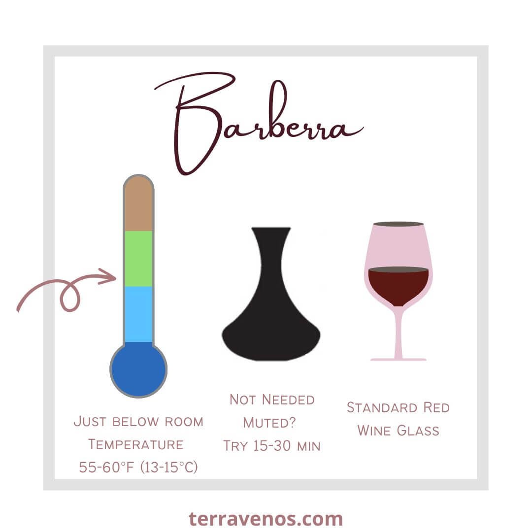 how-to-serve-barbera-wine-infographic barbera wine guide
