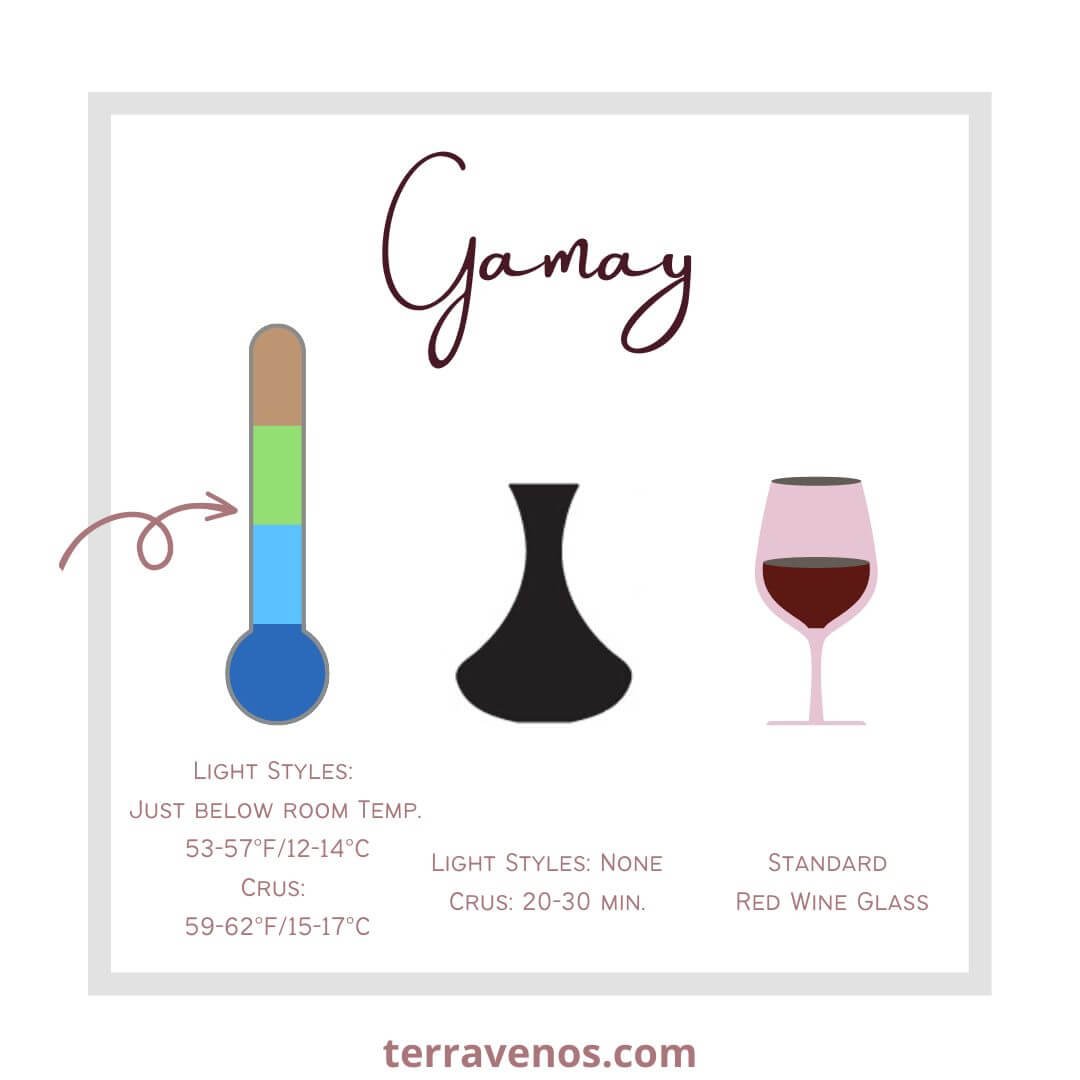 how to serve gamay wine infographic