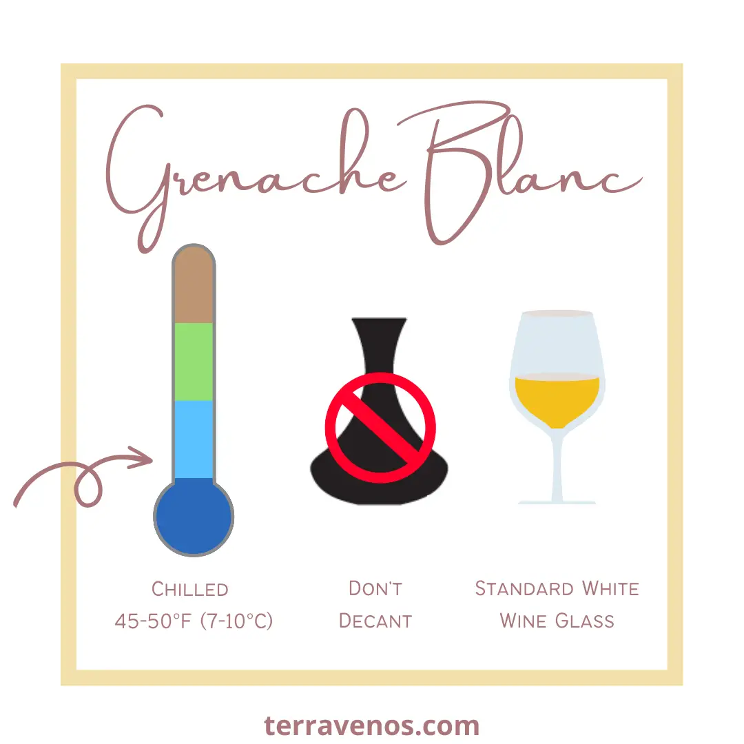 how to serve grenache blanc - infographic