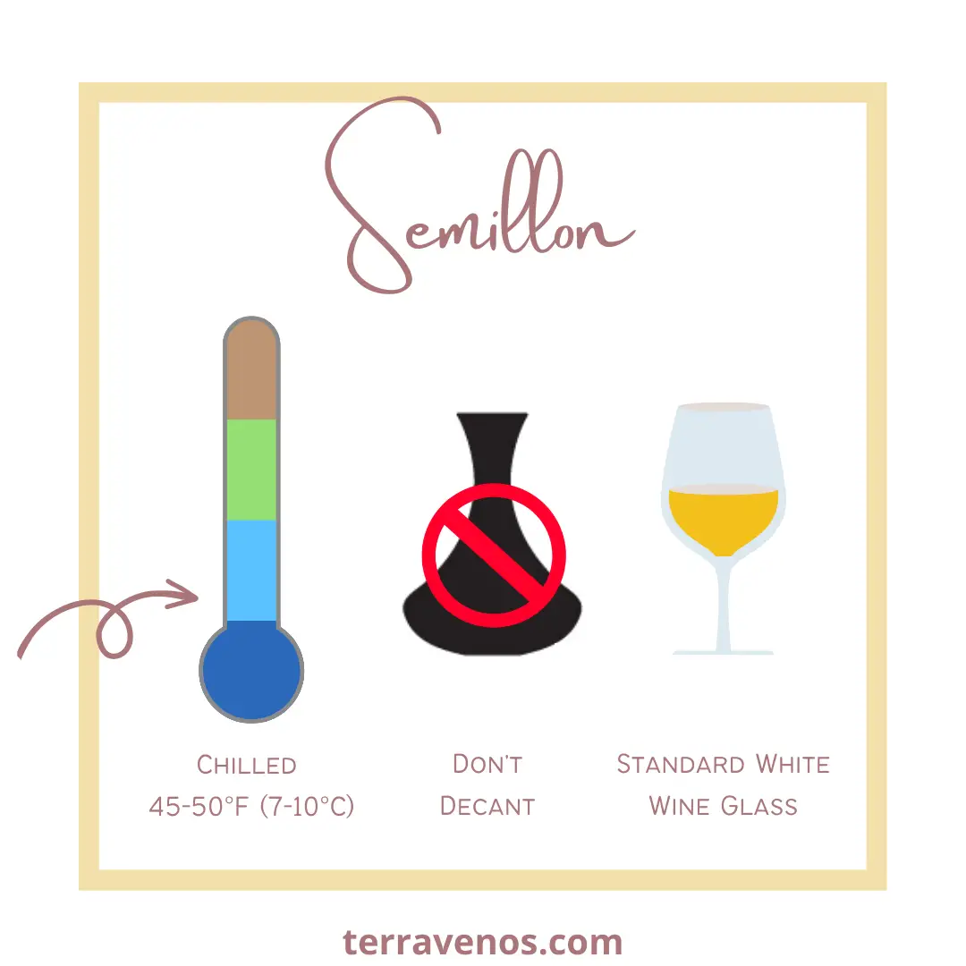 how to serve semillon wines - infographic