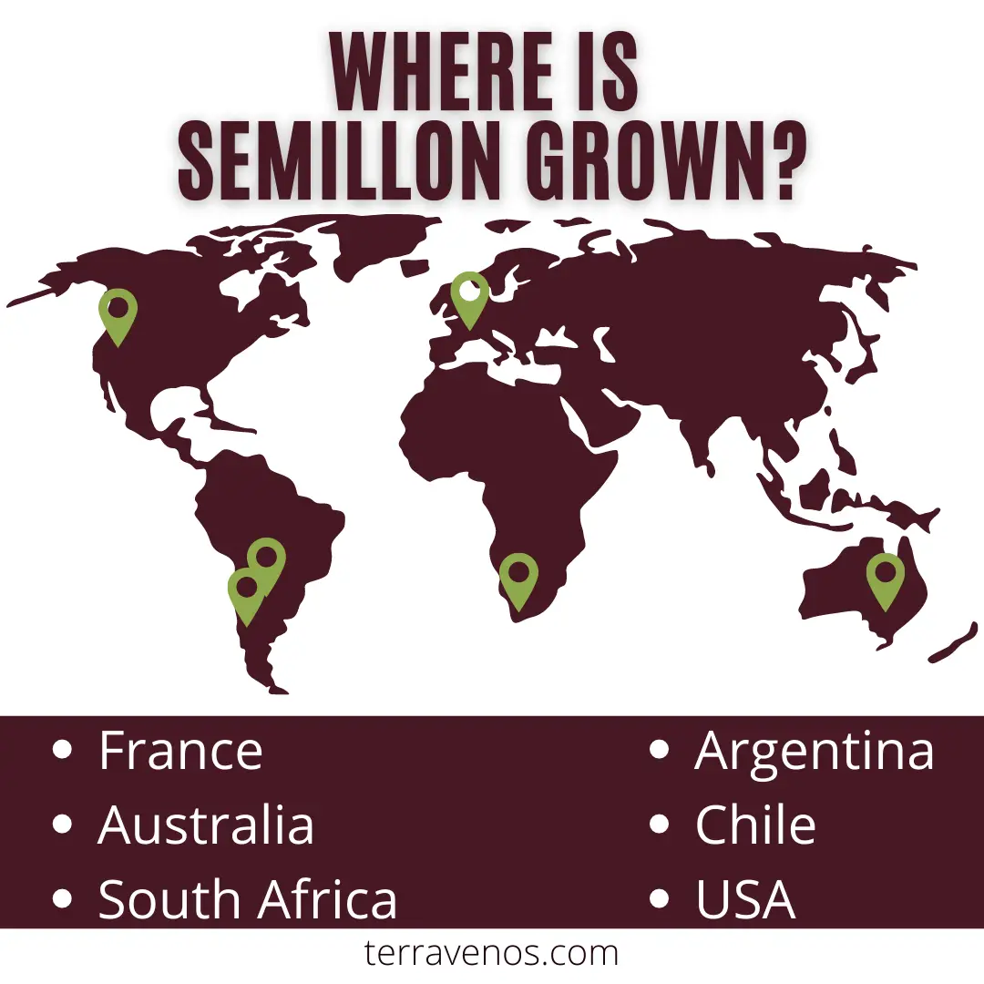 where does semillon grow infographic - semillon wine guide