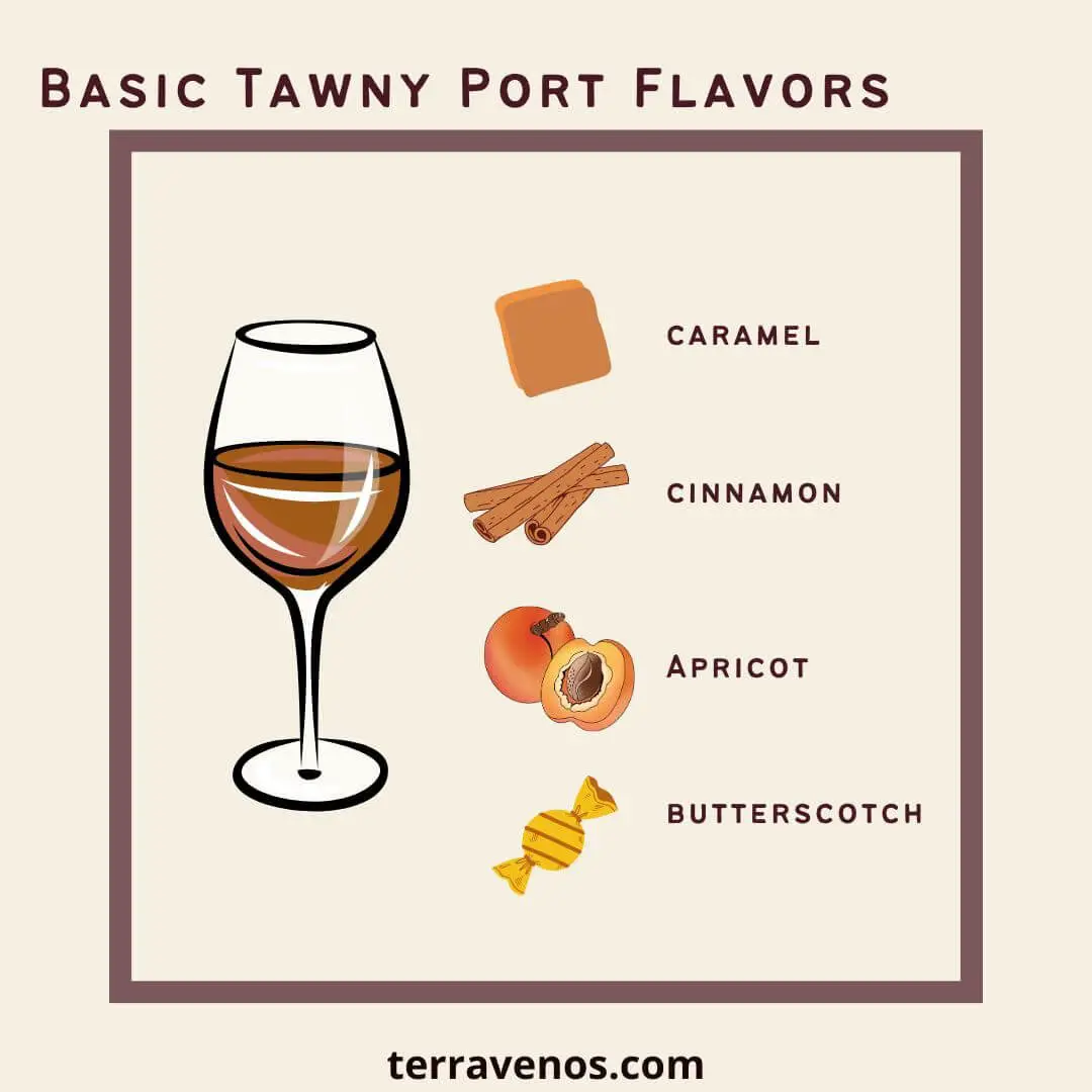 sweet wine for beginners - basic tawny port infographic