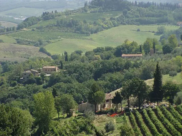 wine label terms - italian hillsides
