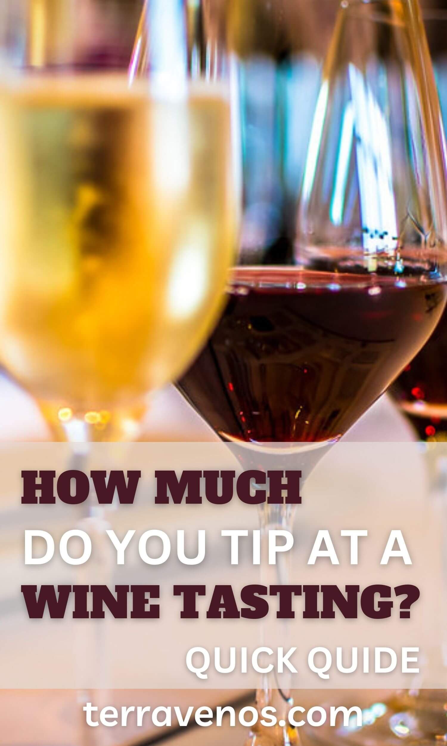 how much do you tip at a wine tasting - guide