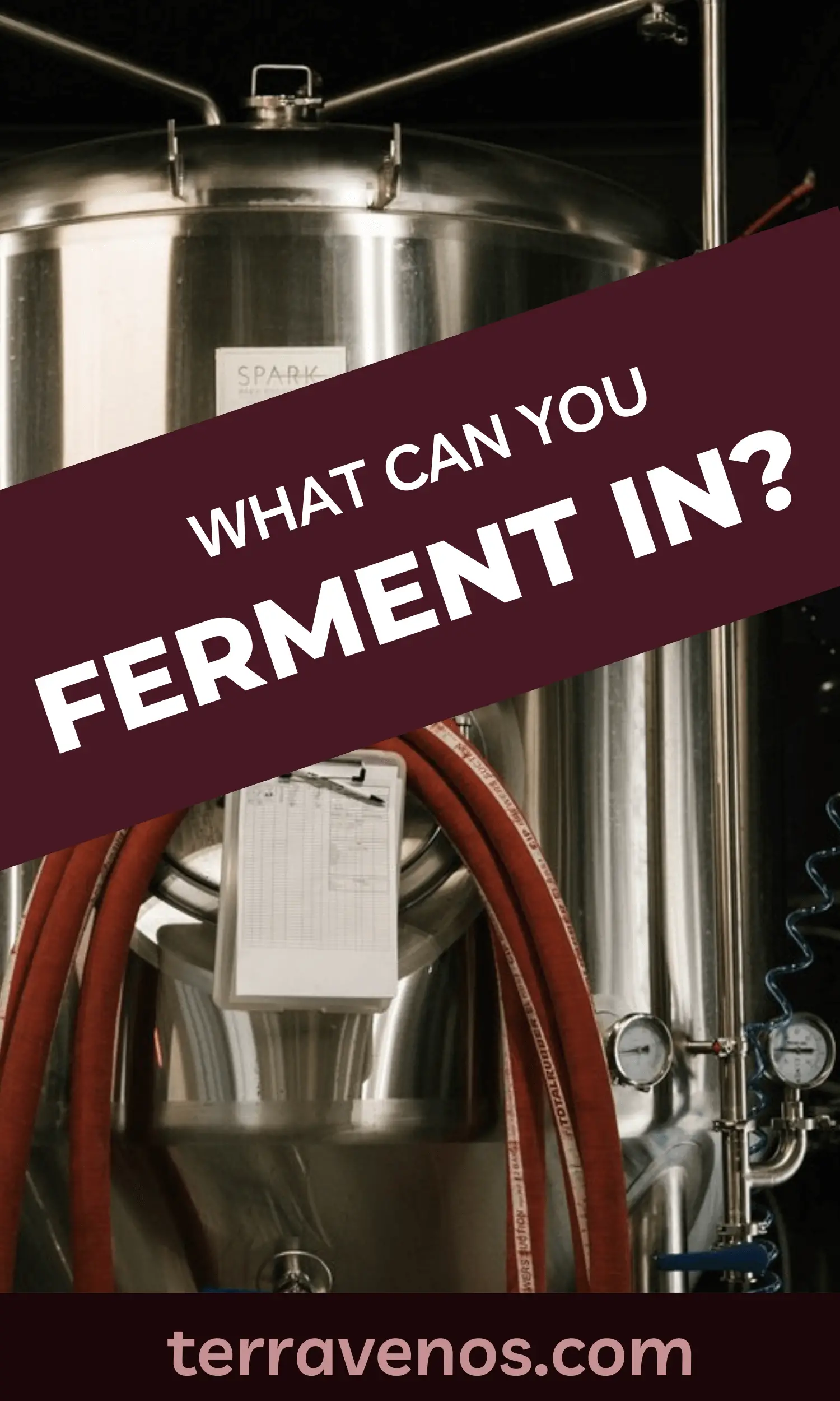 what can you ferment wine in?