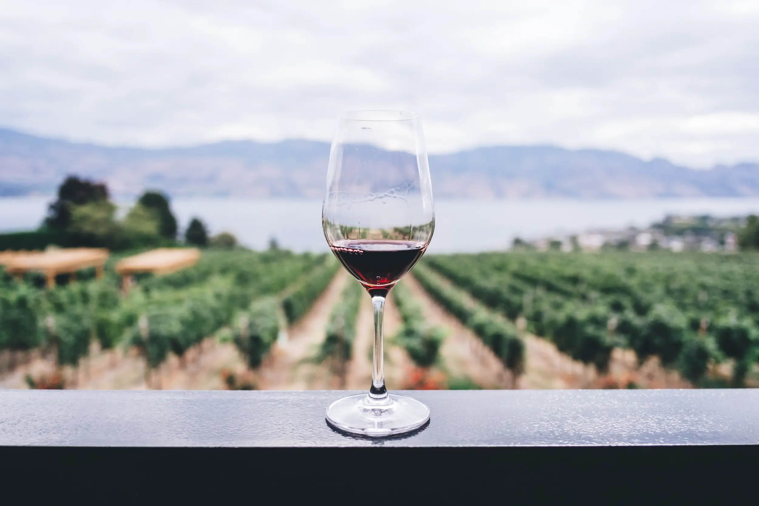 why blend wines - reasons - wine glass