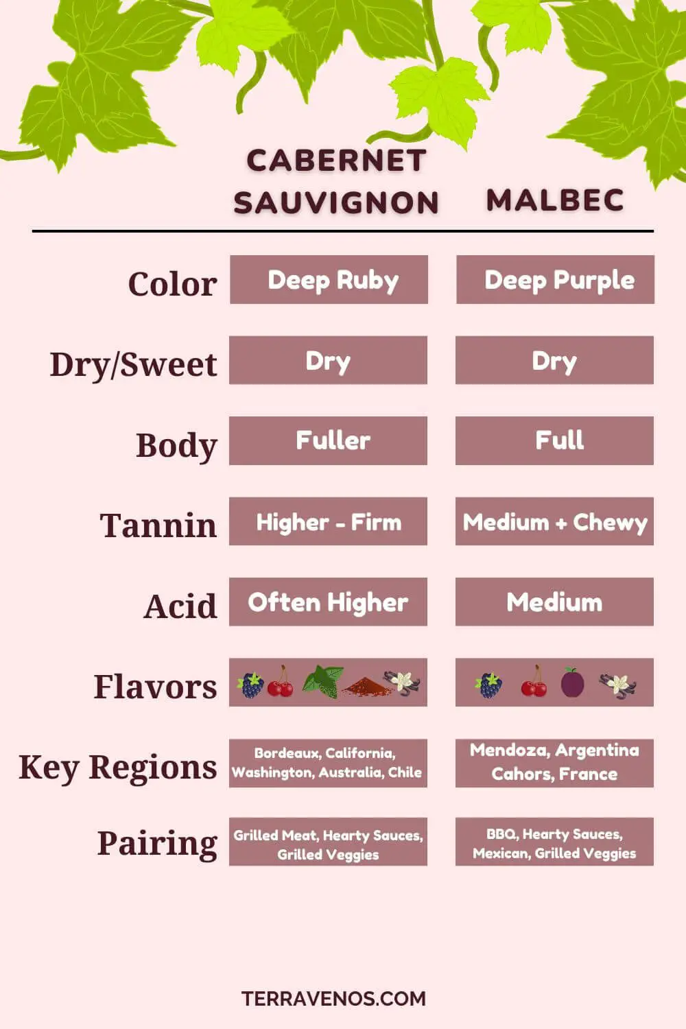 difference between cabernet sauvignon and malbec-infographic