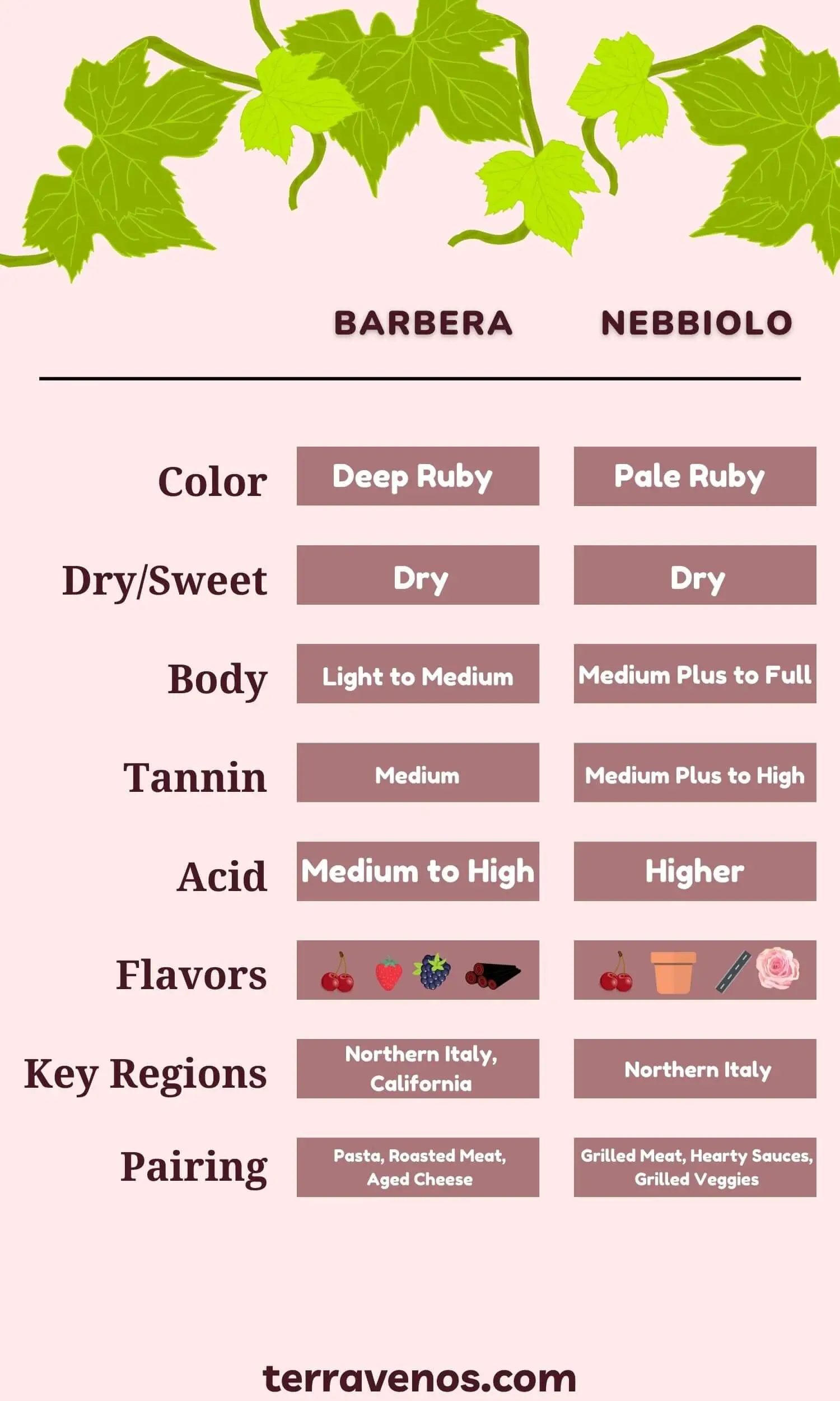 nebbiolo vs barbera infographic