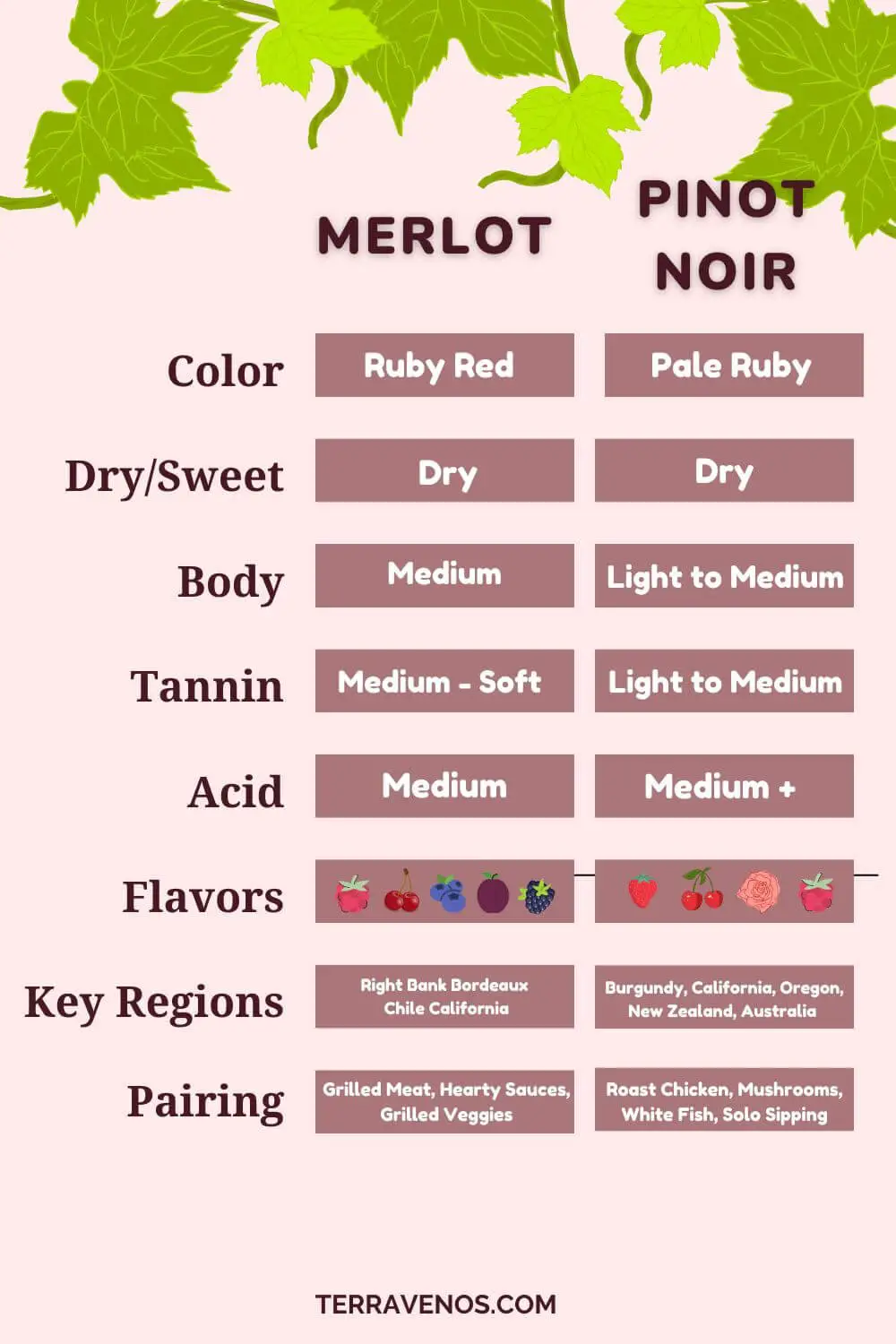 pinot noir versus merlot -wine infographic
