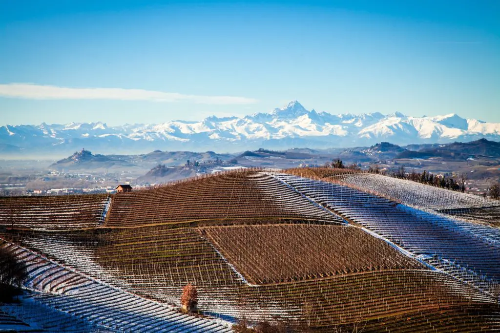 a view of a snowy mountain range from a rooftop - nebbiolo wines