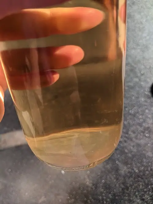 white wine sediment