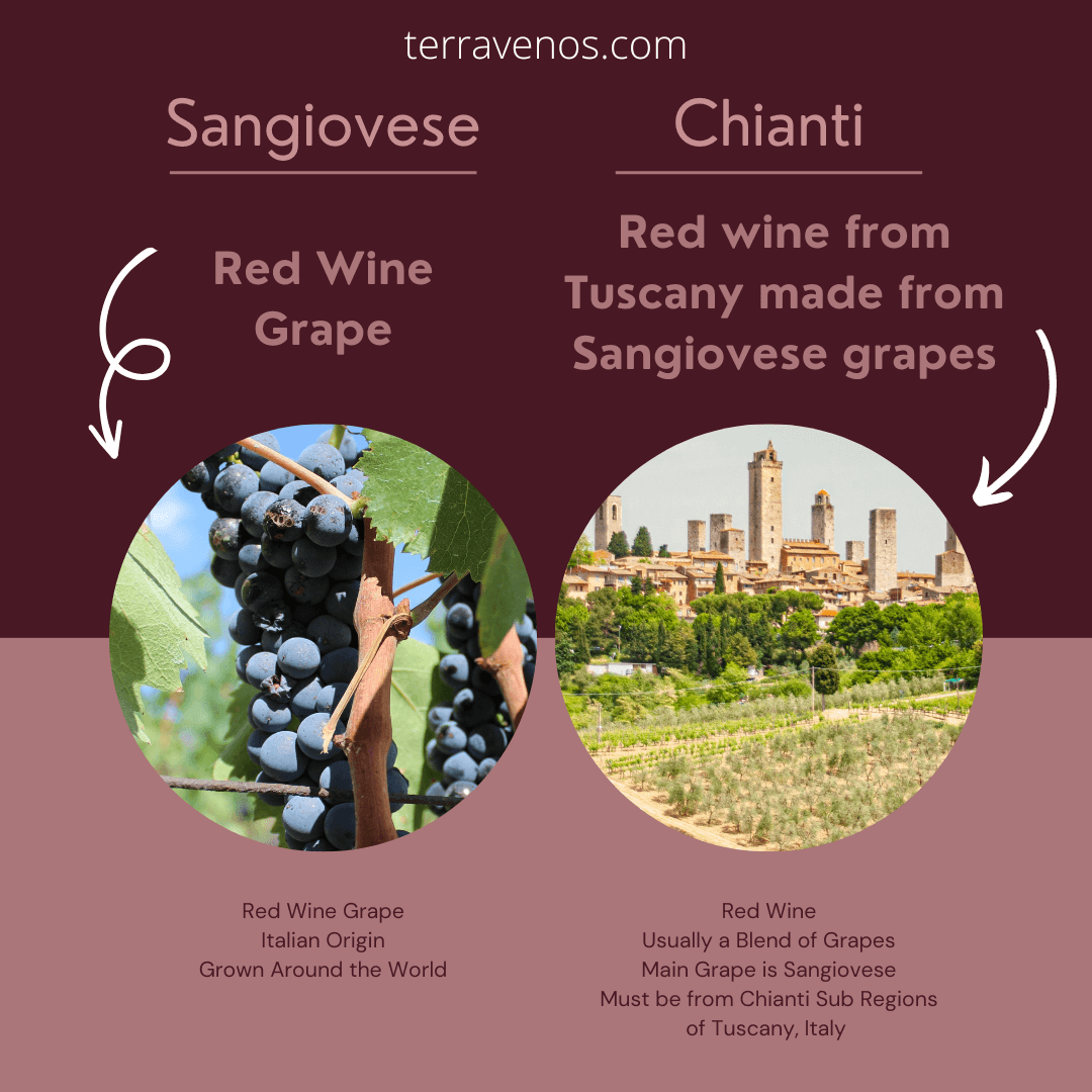 chianti-vs-sangiovese-infographic