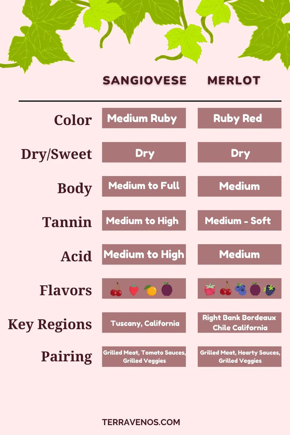 sangiovese vs merlot wine comparison infographic