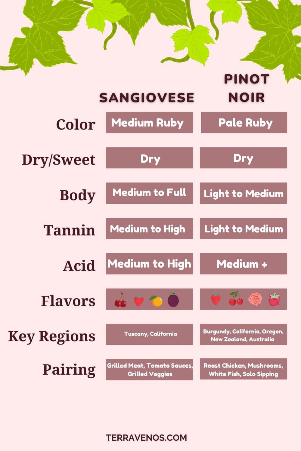 sangiovese vs pinot noir infographic