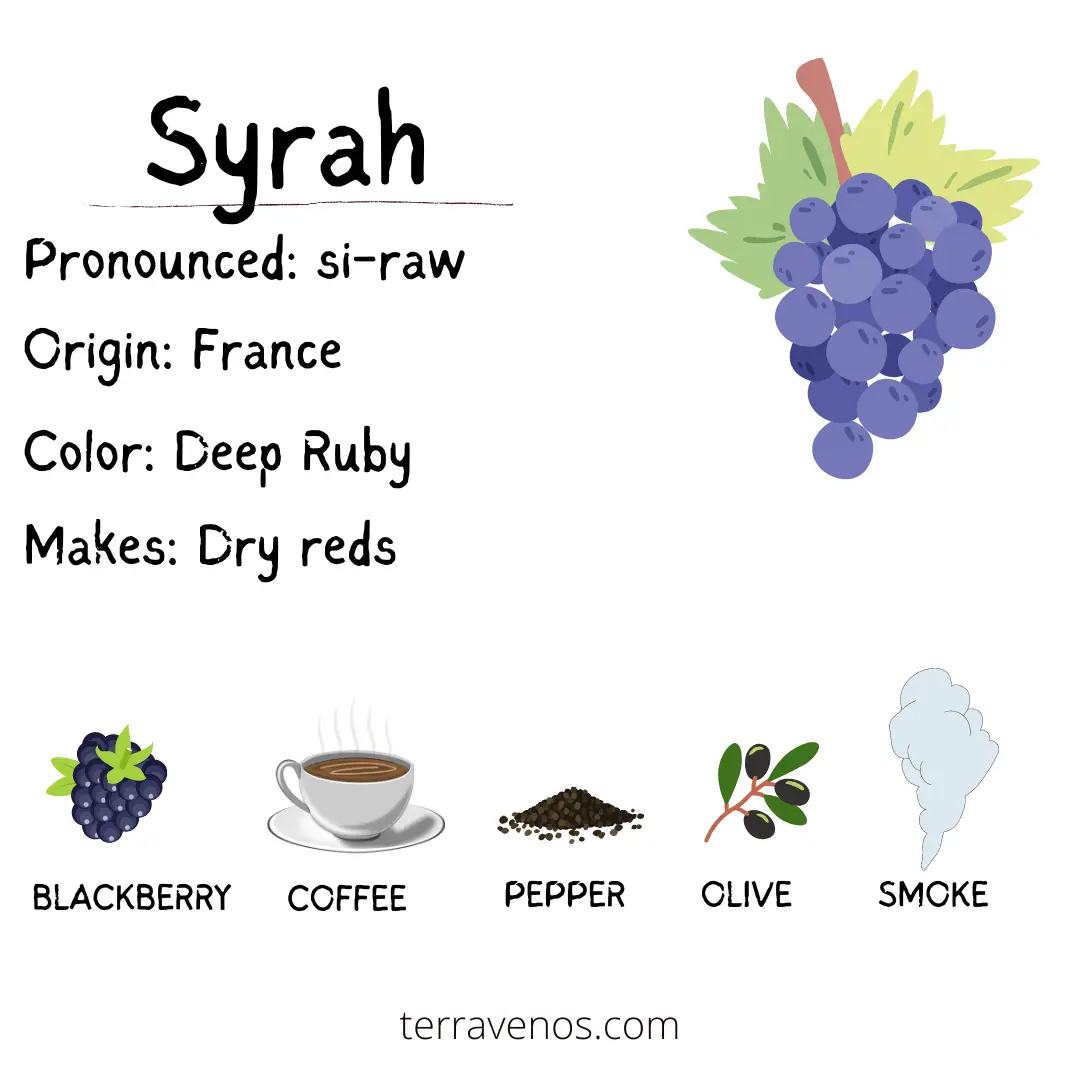 6 wines for beginners - syrah wine profile