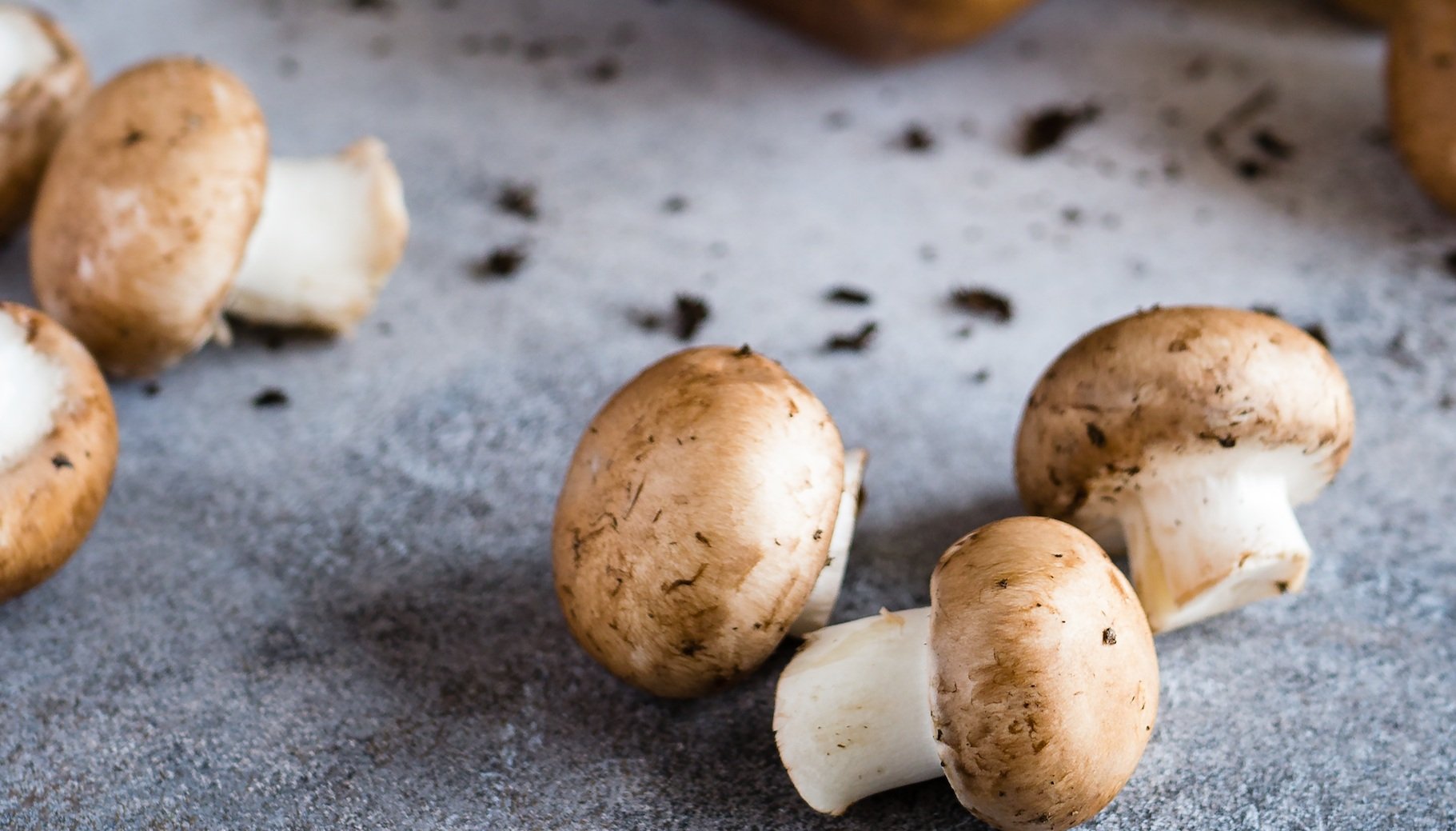 food with wine pairing mushrooms