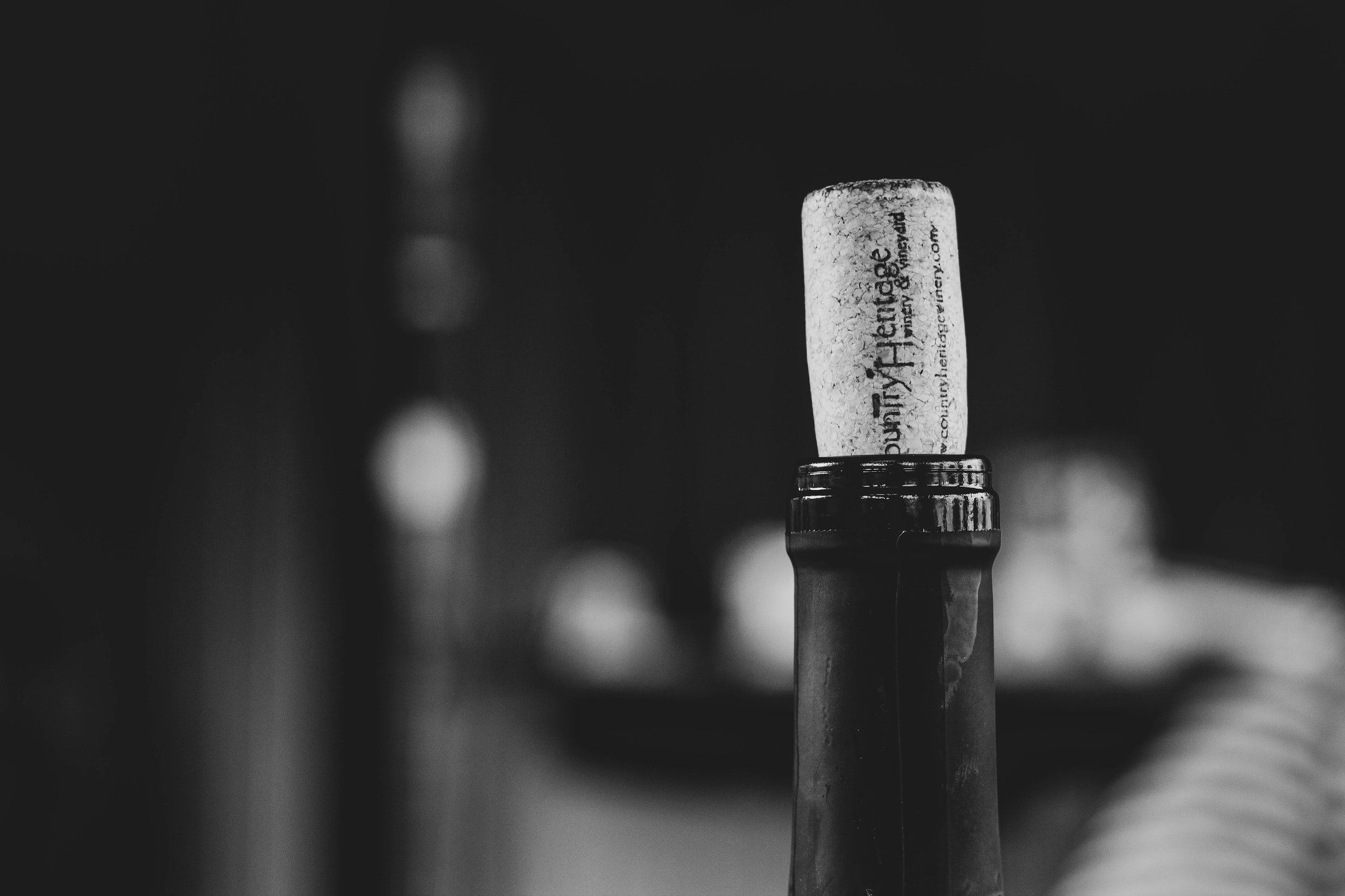 how to host a wine tasting for beginners - bottle cork
