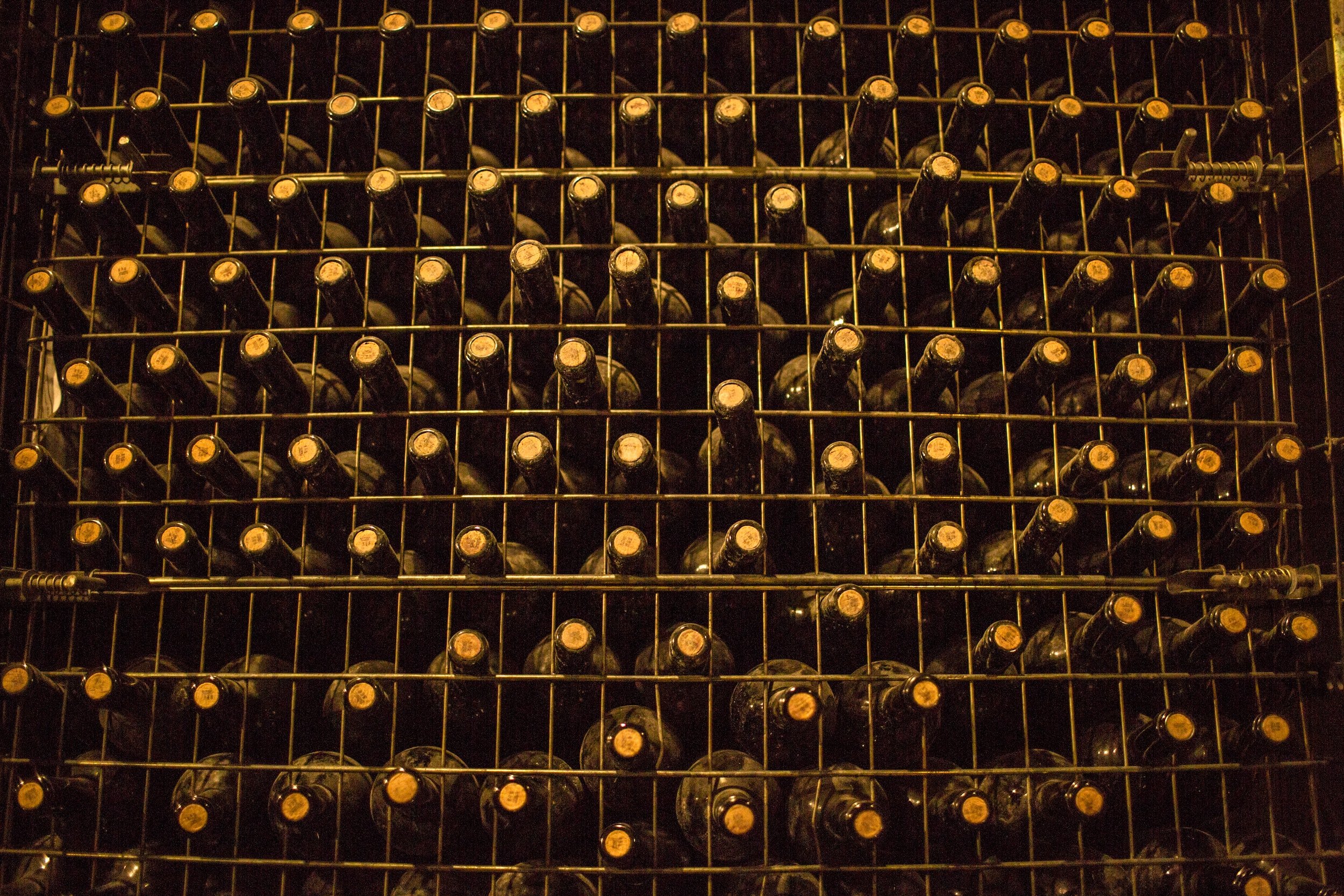 dusty wine bottles in cellar - what is negroamaro wine