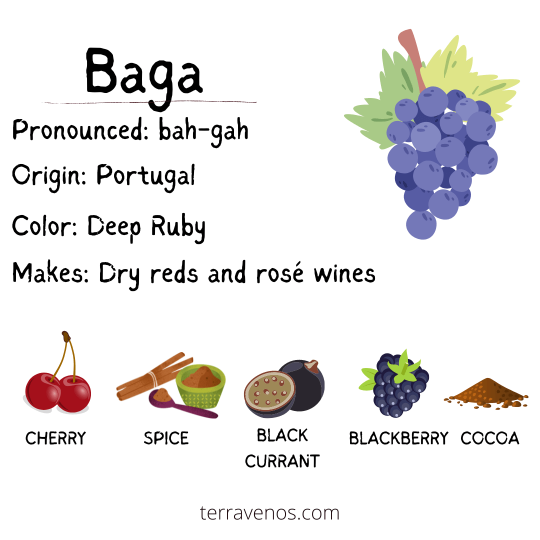 What does Baga taste like? - baga wine