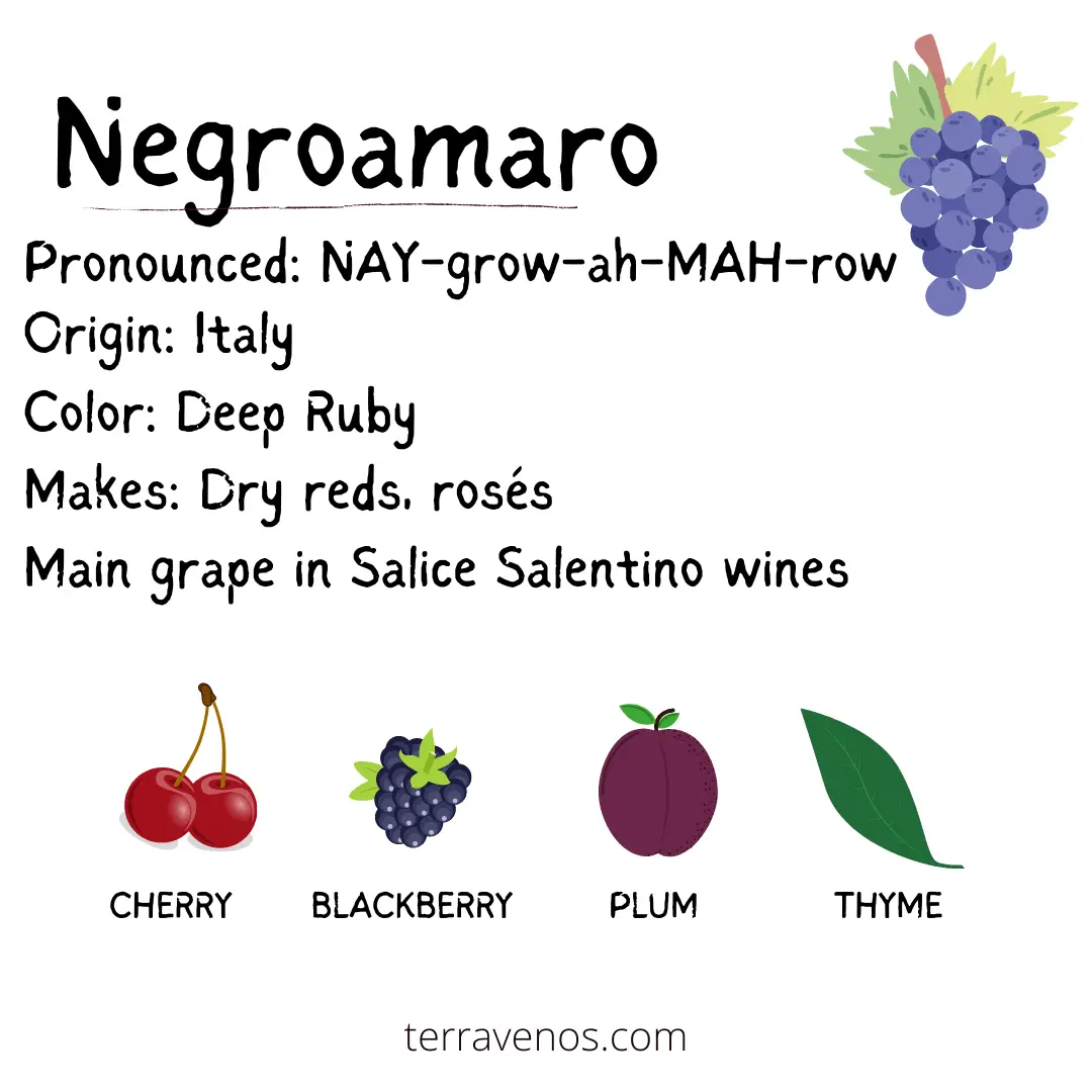 Negroamaro flavor profile - what is negroamaro wine