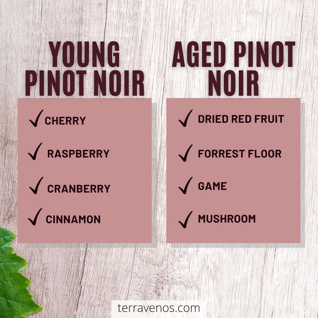 pinot noir guide - old pinot noir vs young pinot noir