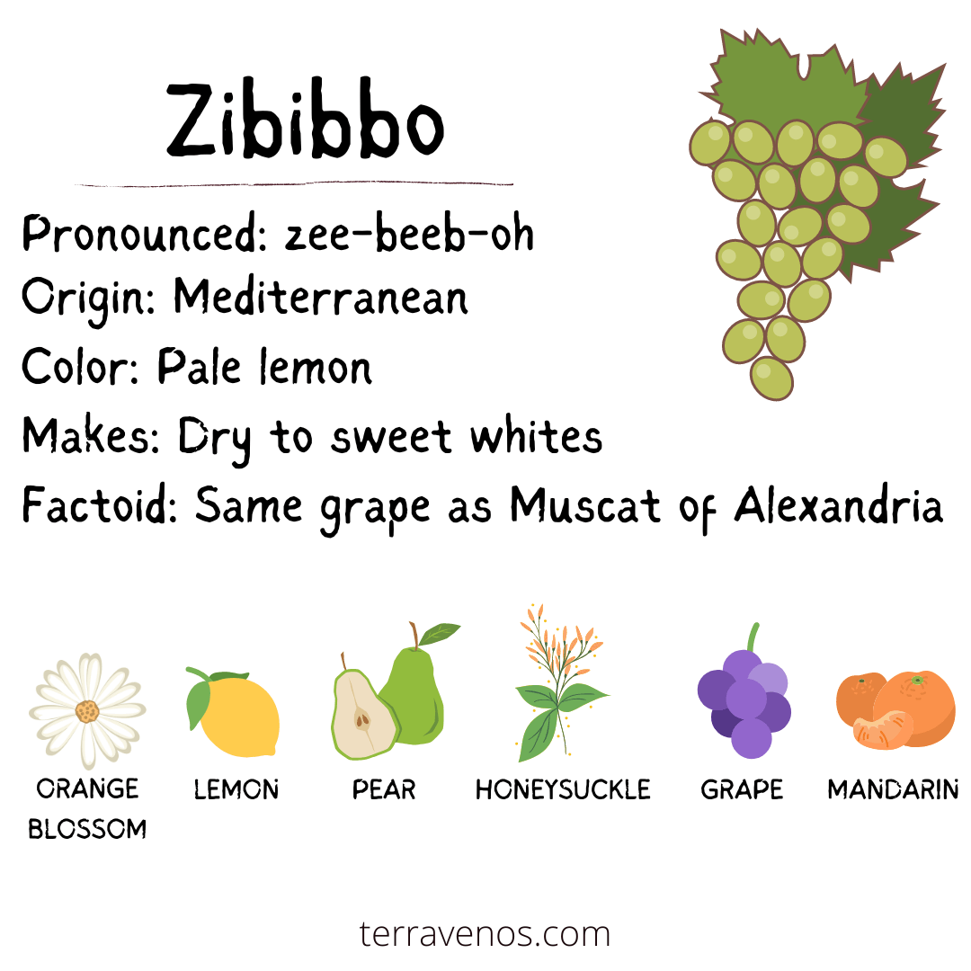 what-does-zibibbo-taste-like
