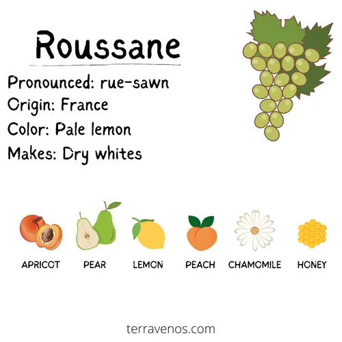 roussane grape profile infographic - best fall wines