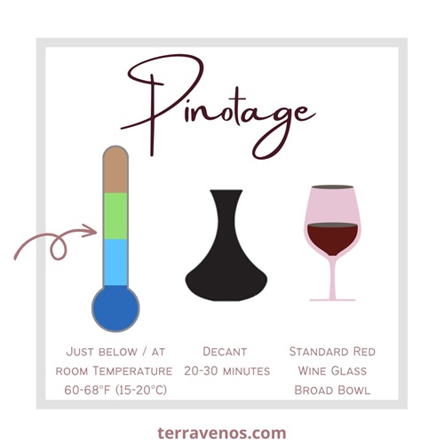 how-to-serve-pinotage-wine-infographic