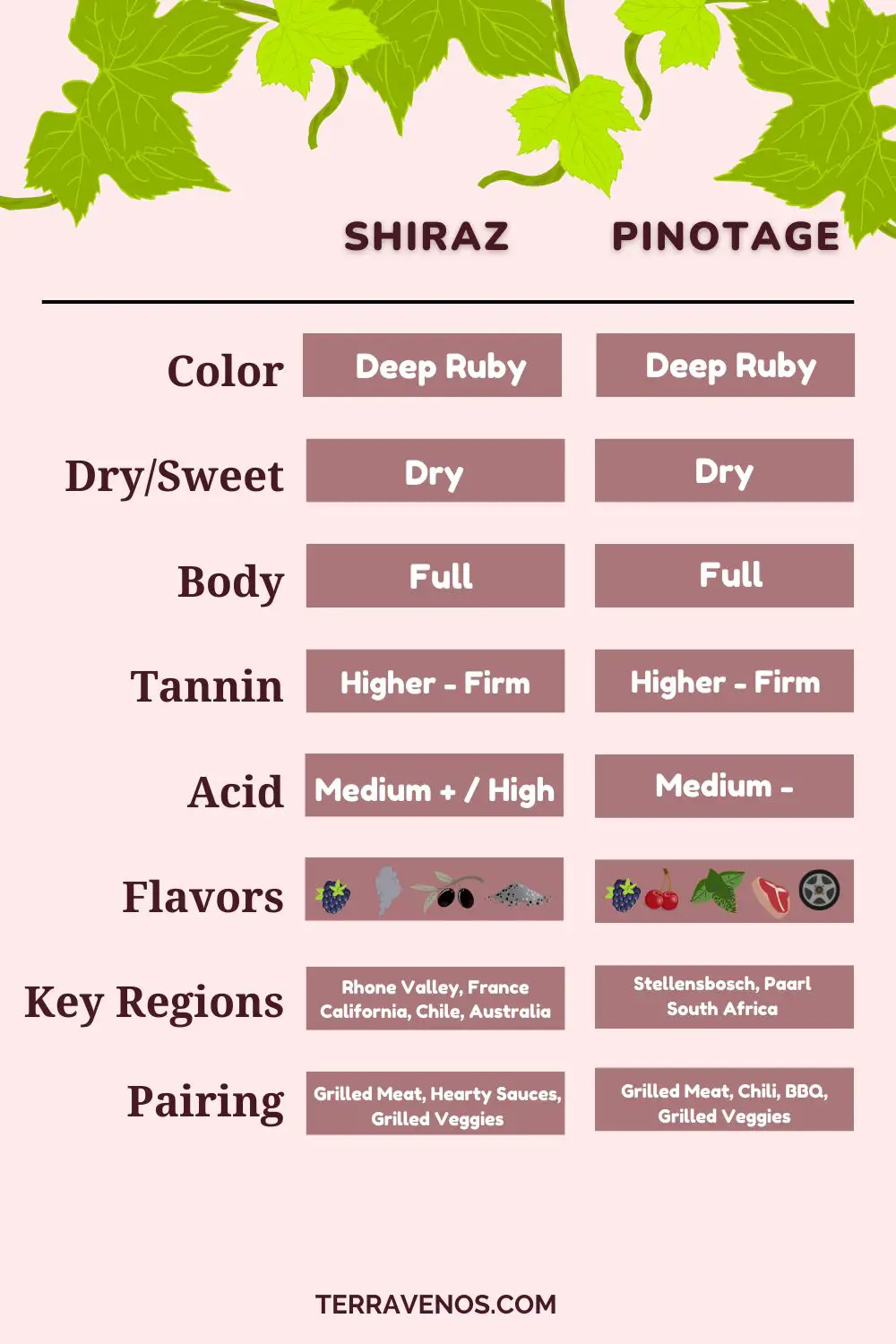pinotage vs shiraz infographic