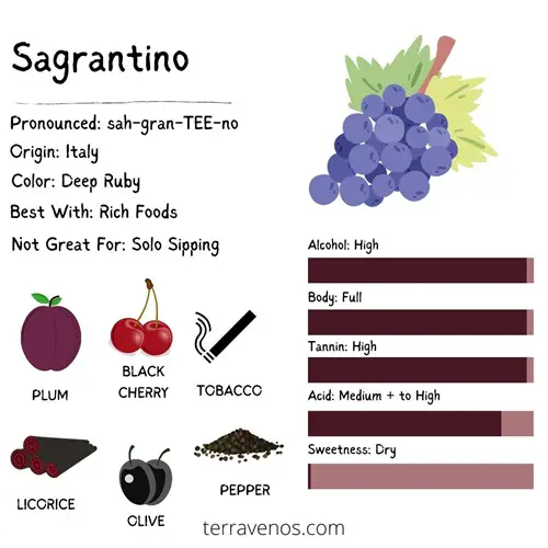what does sagrantino wine taste like infographic - sagrantino vs tannat