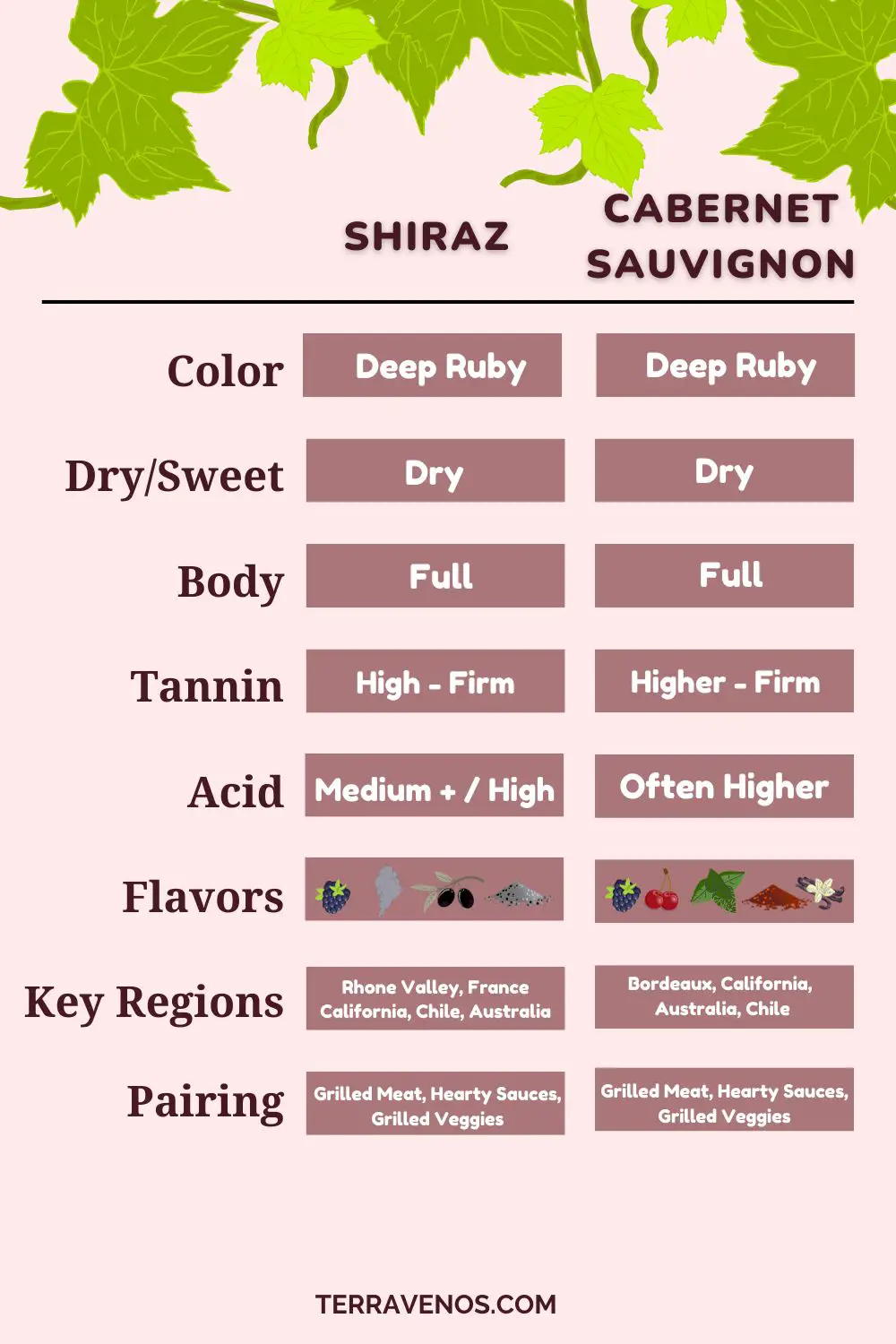 difference between shiraz and cabernet sauvignon - infographic