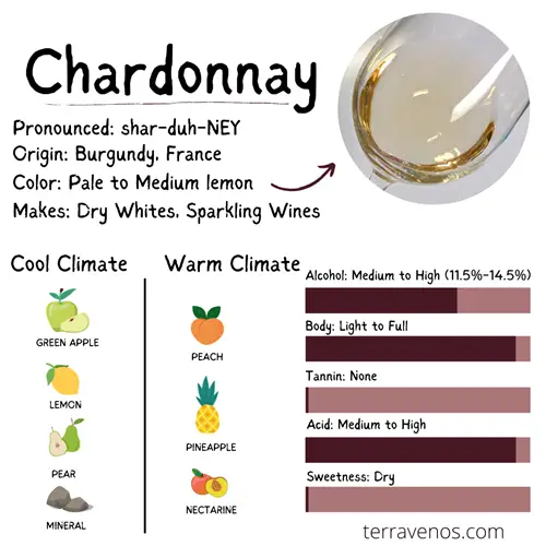 chardonnay vs sauvignon blanc - chardonnay wine grape profile infographic