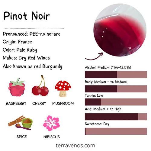 pinot noir vs tempranillo - pinot noir wine profile infographic
