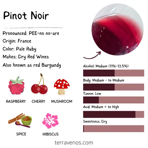 pinot noir wine infographic pinot noir vs malbec