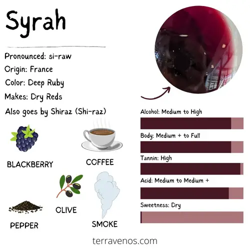 syrah wine profile infographic - syrah vs Malbec