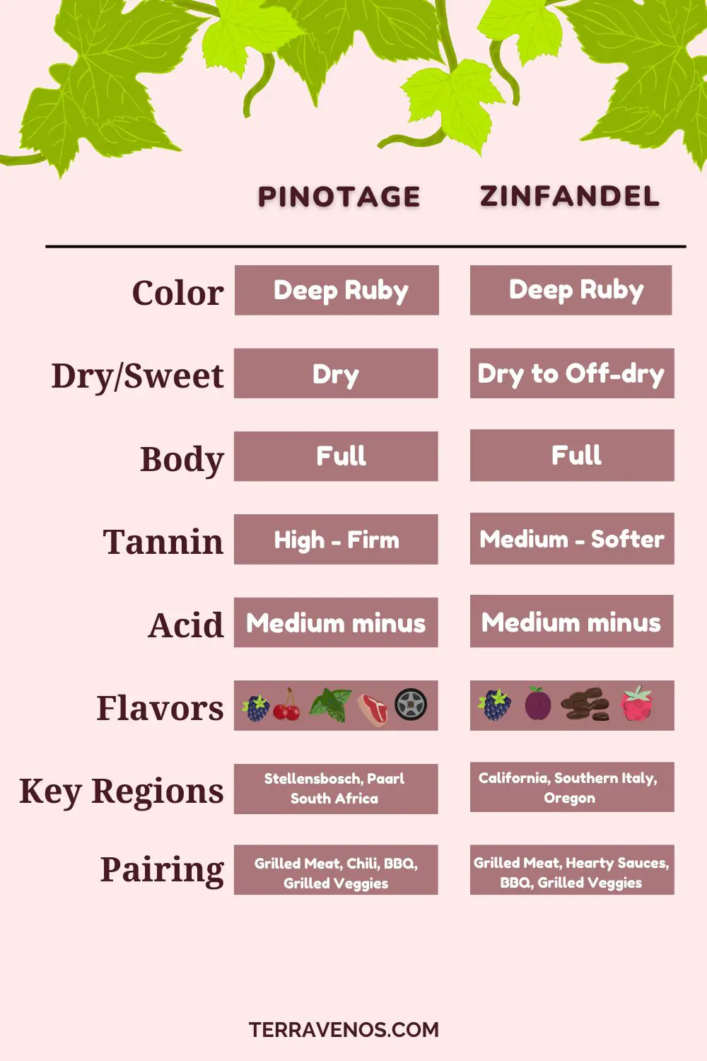 zinfandel vs pinotage infographic