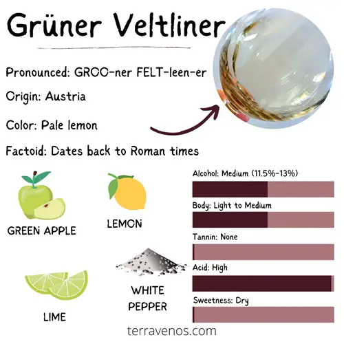 Grüner Veltliner vs sauvignon blanc - Grüner Veltliner wine profile infographic