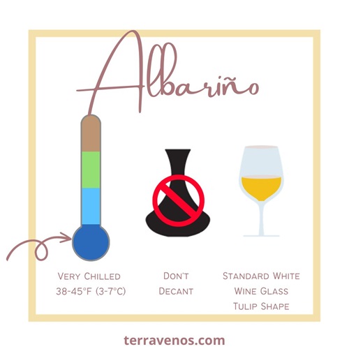 how to serve albarino wine infographic