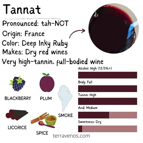 strong red wines -tannat wine grape profile infographic