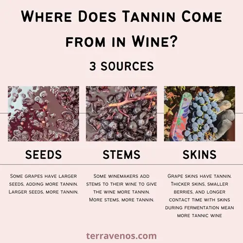 tannin in wine infographic