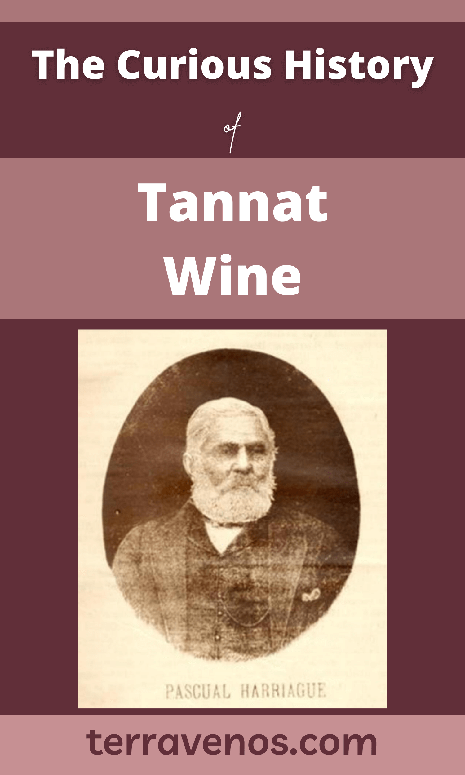 The Curious History of Tannat Wine: Tannat Wine Guide