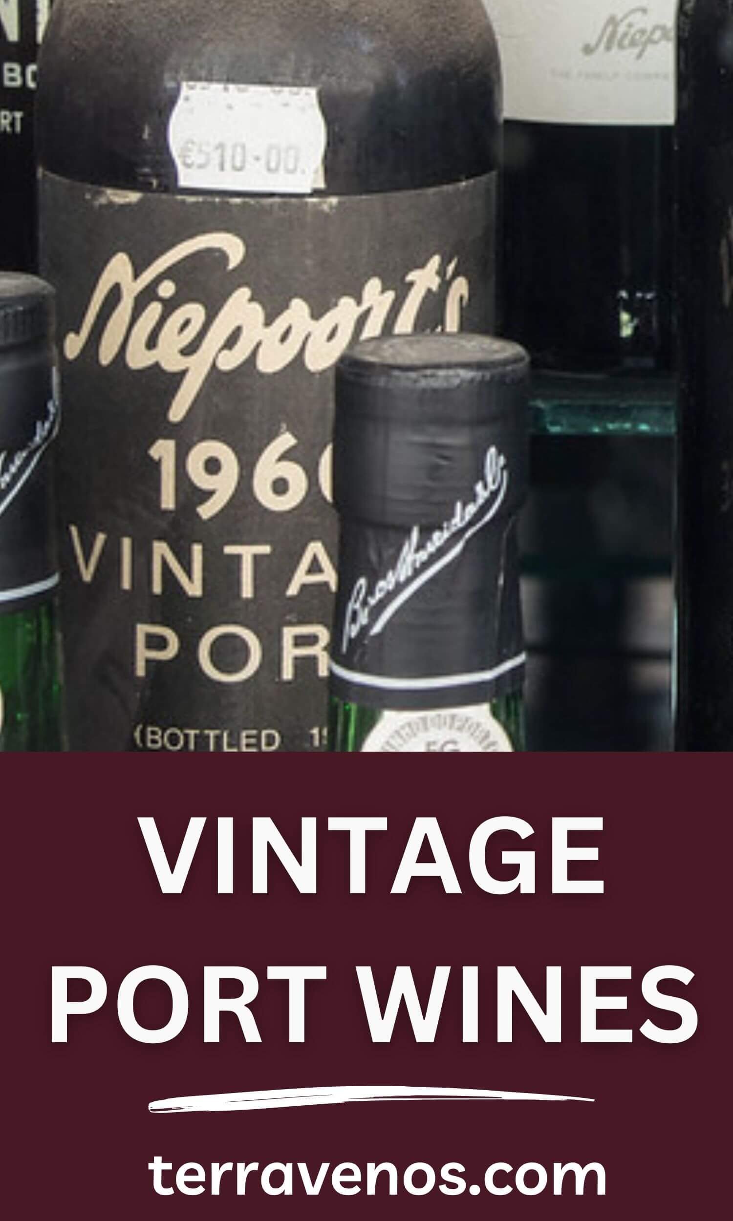 attachment64662451e7a5854d0a43296a tèr·ra·ve·nos