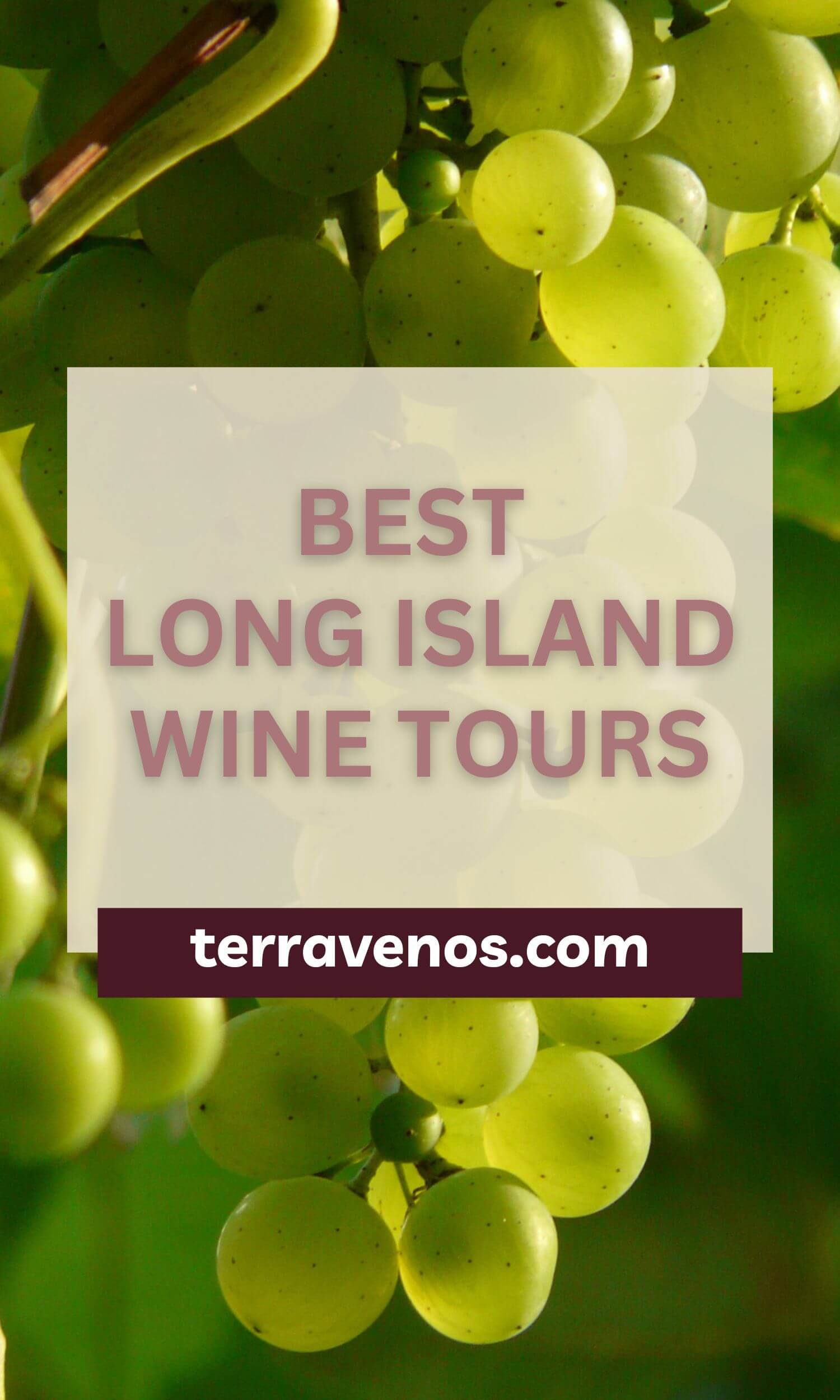 Best Long Island Wine Tours