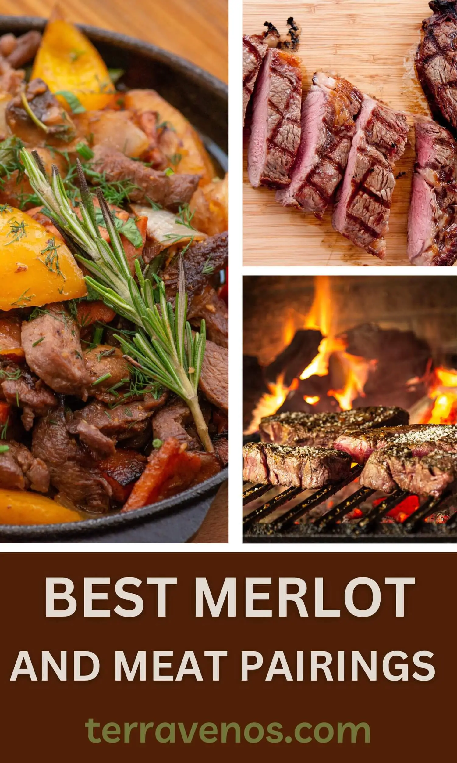 what meat dishes pair with merlot - merlot meat pairing guide
